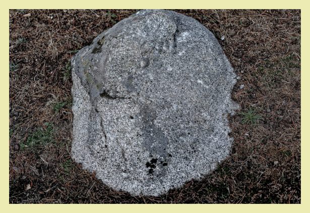 1 - Piedra del altar